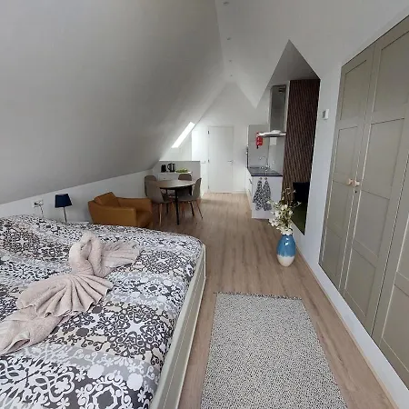 Appartamento Comfort Near Amsterdam Schiphol